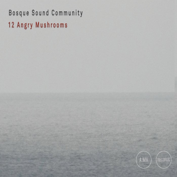 12 Angry Mushrooms (Bosque Sound Community)