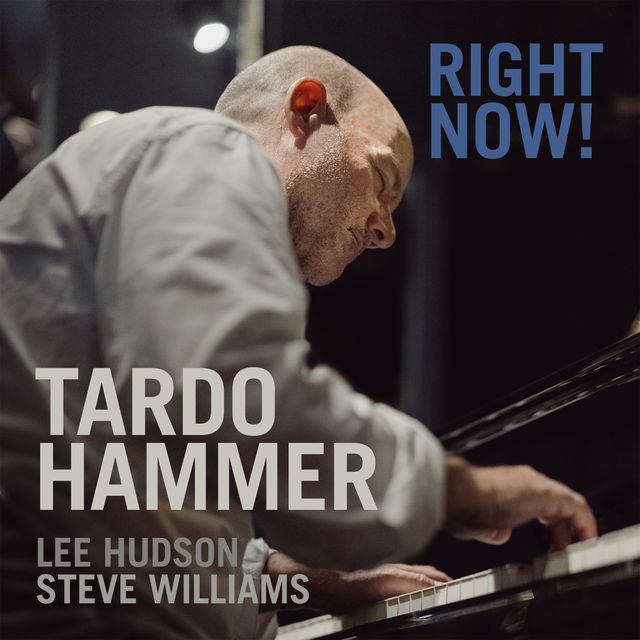 Right Now (1LP) (Tardo Hammer Trio)|jazz|ジャンル別