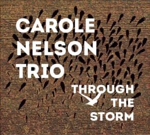 Through The Storm (Carole Nelson Trio)