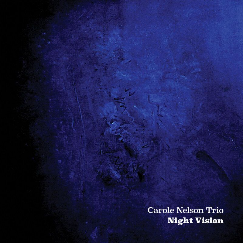 Night Vision (Carole Nelson)