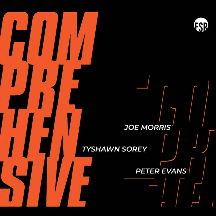 Comprehensive (Peter Evans-Joe Morris-Tyshawn Sorey)|jazz|ジャンル別