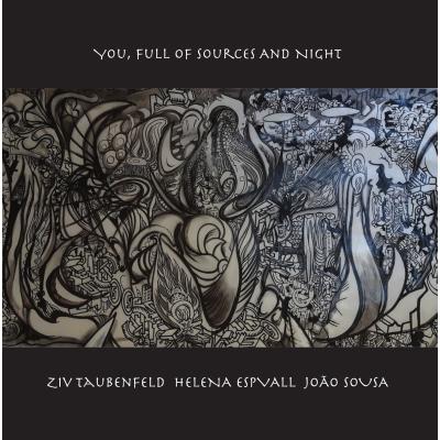 You, Full Of Sources And Night (Ziv Taubenfeld)