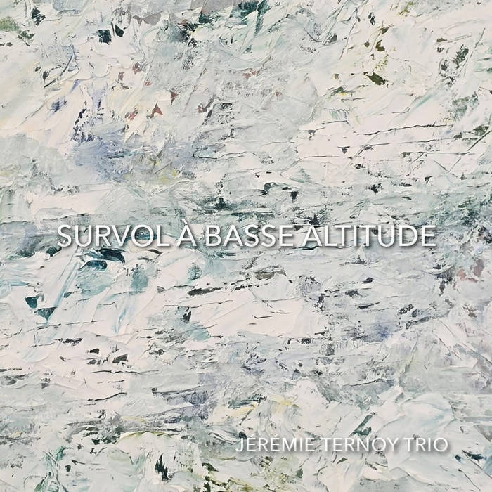Survol A Basse Altitude (Jeremie Ternoy Trio)