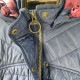 Barbour Х֥ ͥӡ   š