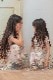 Kids ����֥������꡼�ե쥢�ɥ쥹 3��
