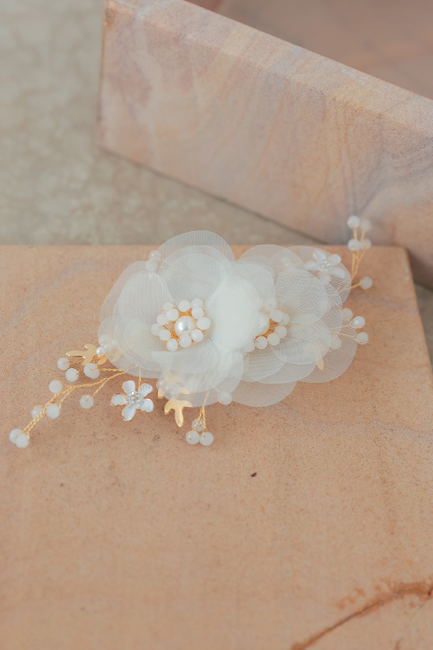 ������Τߡۥ������󥸡��ե��إ�����å�