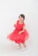 Kids  �ɥåȥ��塼�륮�㥶�����ԡ���  7-8��
