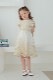 Kids ������ɥ졼���ѡ��ƥ����ɥ쥹 3��