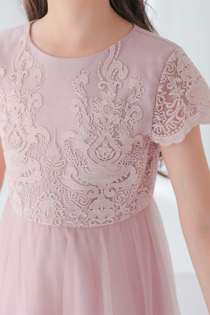 BCBG maxazria 淡いピンクの刺繍入りパーティードレス BCBG maxazria 淡いピンクの刺繍入りパーティードレス BCBG