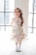 Kids �ե����ޥ륷�塼�� ����å�������С� 20cm(�߸˭�)