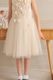 Kids ������ɥ��ե��ǥ��ơ���ɥ쥹 140cm