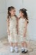 Kids ����֥������꡼�ե��ɥ쥹 ���꡼�� 7��