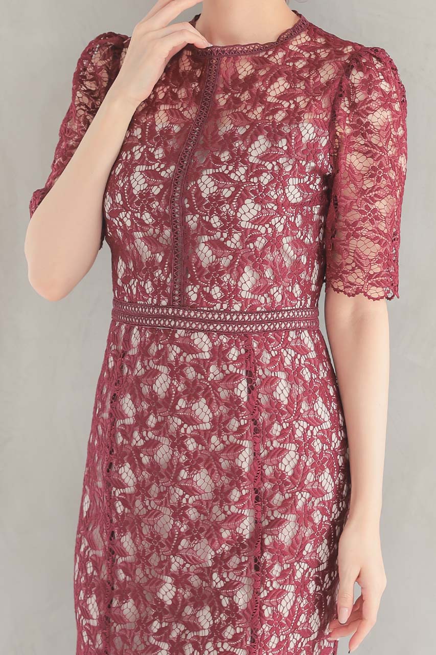 ȥ饹ȥ졼ޡᥤɥɥ쥹 磻å/M