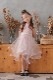 �ڥ����ȥ�åȡ�Kids �ե����ޥ륷�塼�� �֥�å� 19cm