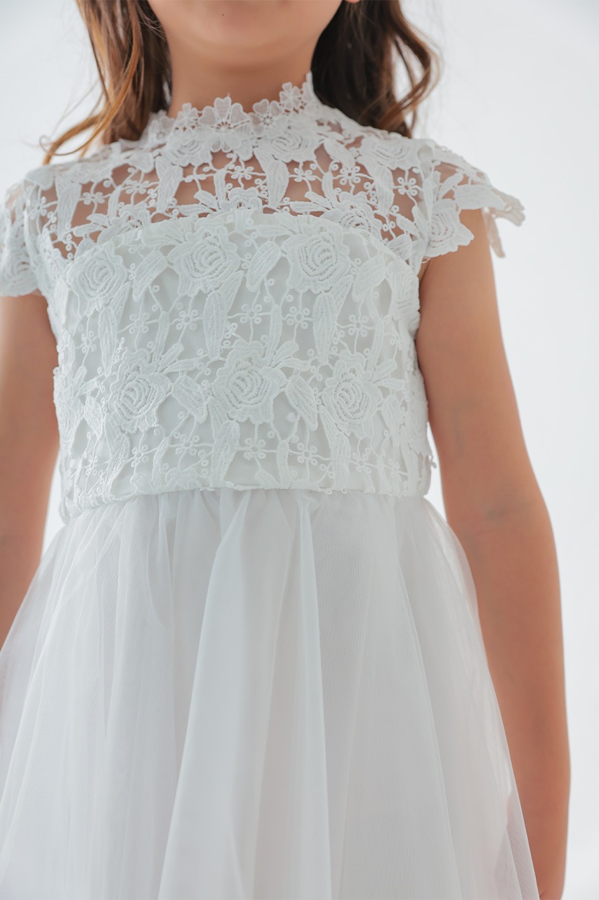 Kids �ϥ��ͥå��졼���ϡ��ȥХå��ɥ쥹 �ۥ磻�� 7��