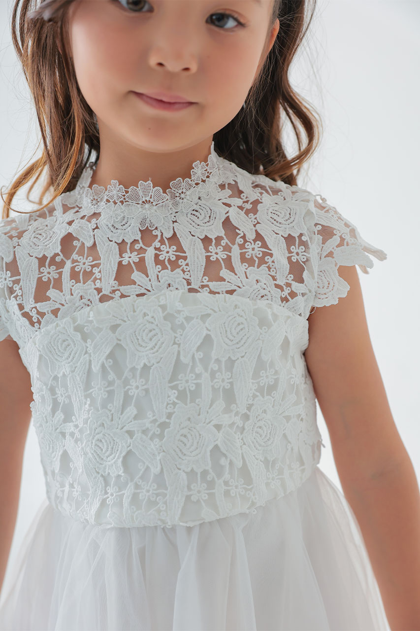 Kids �ϥ��ͥå��졼���ϡ��ȥХå��ɥ쥹 �ۥ磻�� 7��