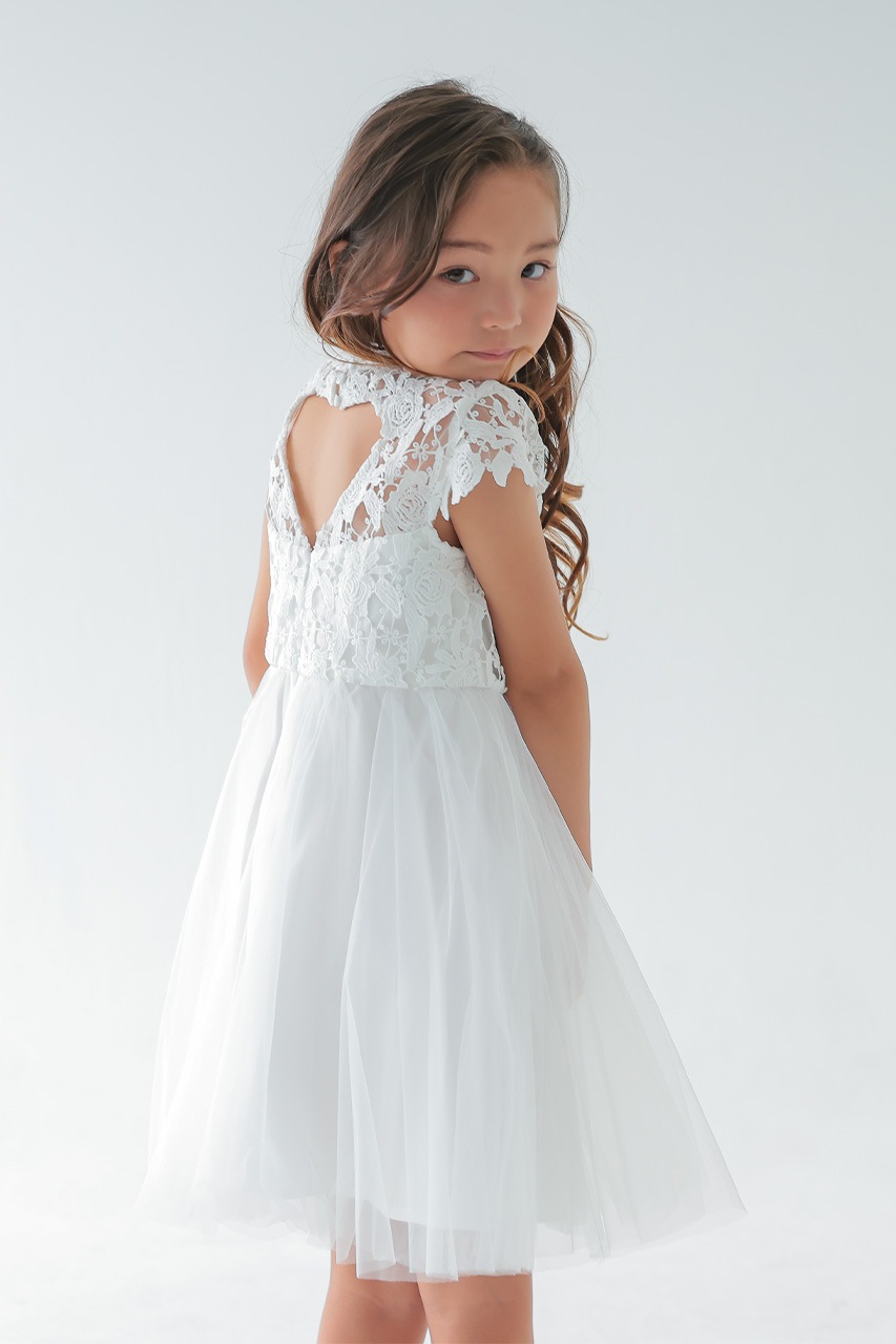 Kids �ϥ��ͥå��졼���ϡ��ȥХå��ɥ쥹 �ۥ磻�� 7��