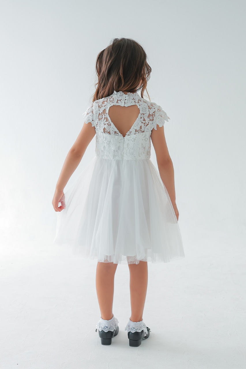 Kids �ϥ��ͥå��졼���ϡ��ȥХå��ɥ쥹 �ۥ磻�� 7��