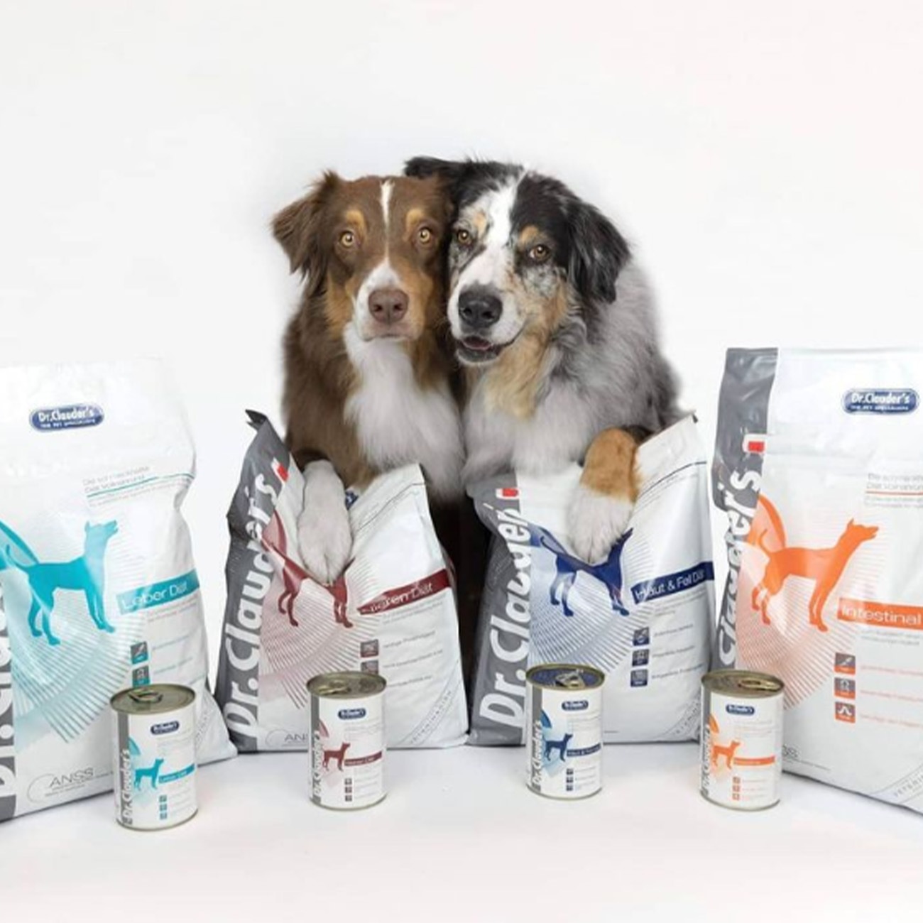 ドッグフード R IM 犬】ダイエット・IRD インテスティナル 4kg | すべての商品 | Dr