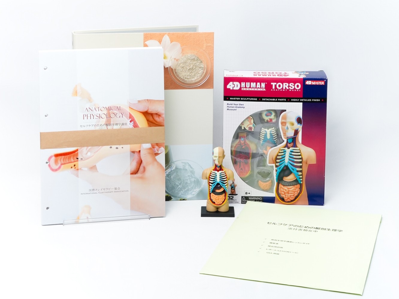 セルフケアのための解剖生理学講座