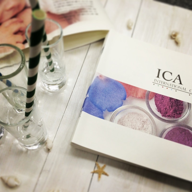 ICA 年会費