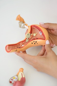 セラピスト（2017年8月号）　ドイツ自然療法の聖母ヒルデガルトと現代の薬草魔女たち