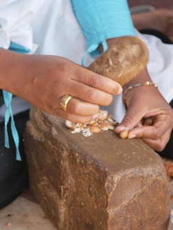 ナイアード アルガンオイル(7ml)