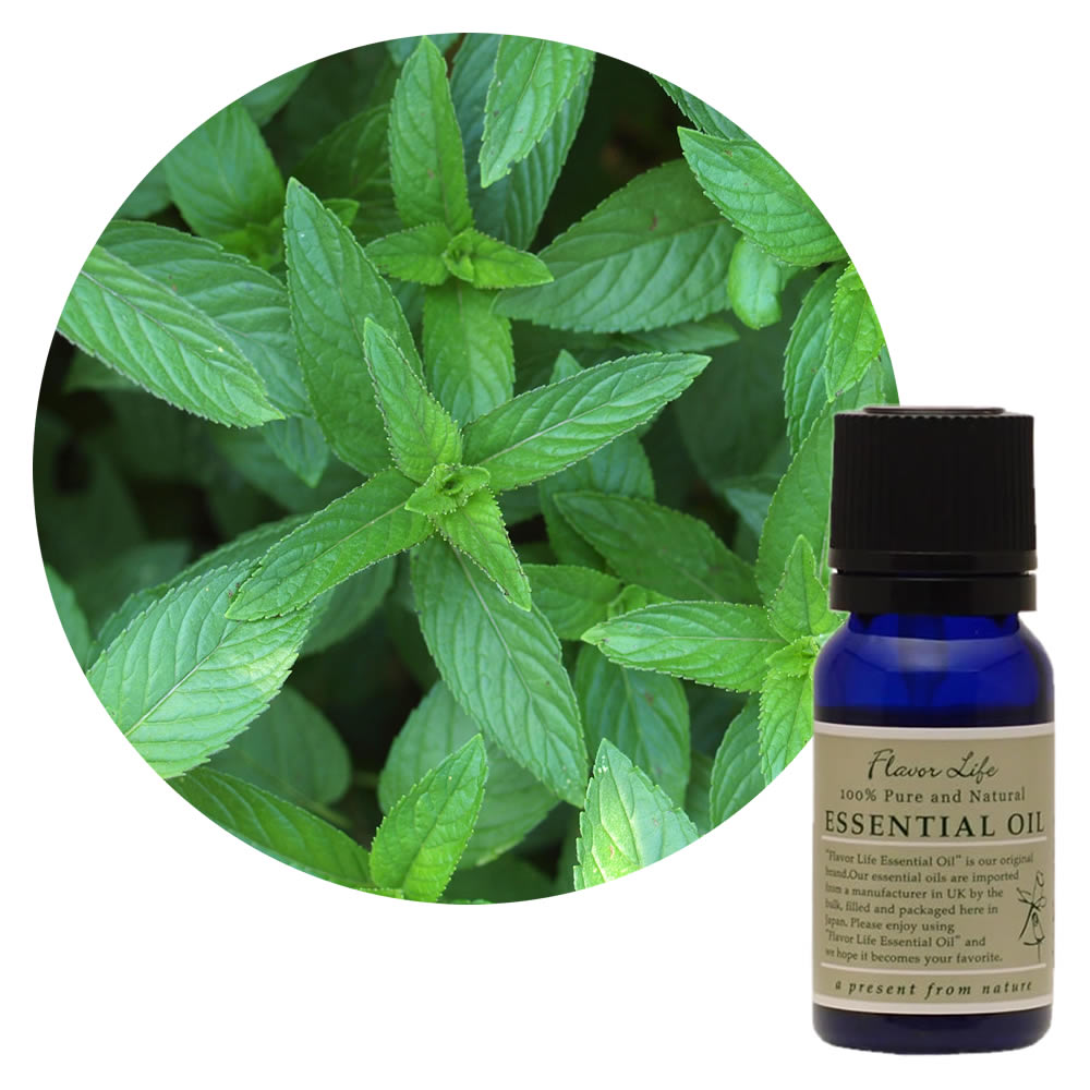 フレーバーライフ ペパーミント 10ml