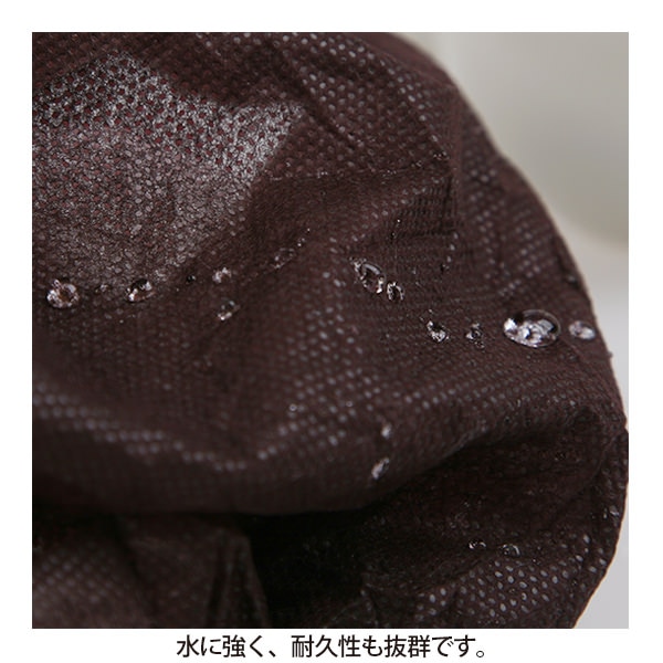 ペーパーショーツ(ブルー)フリーサイズ【10枚組】