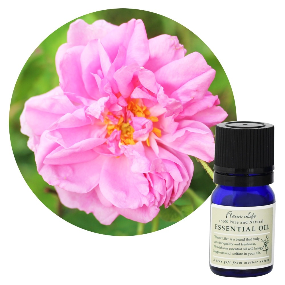 「リバイブセラピー」セミナー 精油6本セット （カモミールローマン、クラリセージ、バレリアン、ペパーミント、オレンジスイート、ローズアブソリュート）