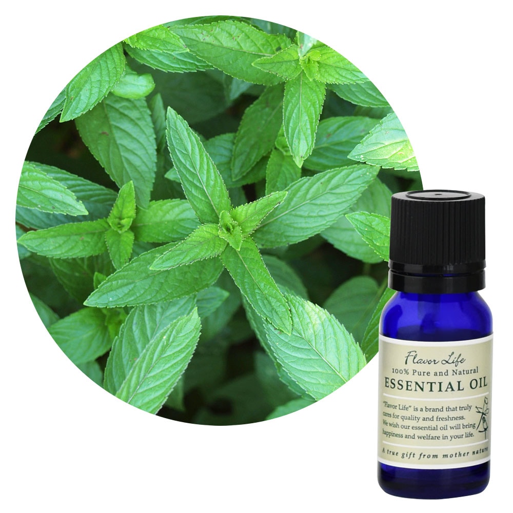 「リバイブセラピー」セミナー 精油6本セット （カモミールローマン、クラリセージ、バレリアン、ペパーミント、オレンジスイート、ローズアブソリュート）