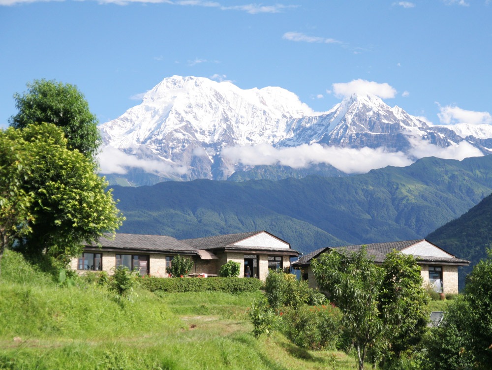 ナイアード チウリ モイスチャークリーム