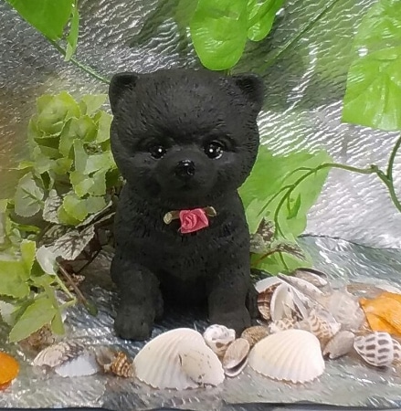 ポメラニアン　置物 楽天市場】犬の置物 ポメラニアン オブジェ ガーデン いぬ イヌ