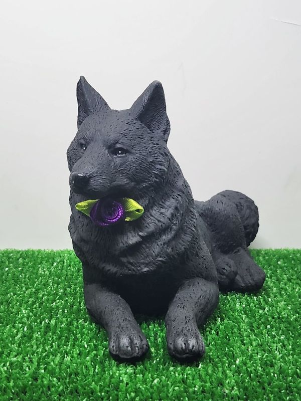 �����ѡ���