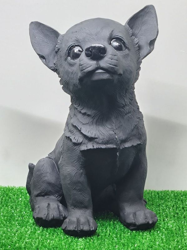 ������˥��꡼�����������