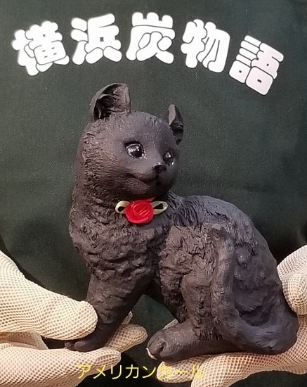 アメリカンカール | 横浜炭物語 ねこシリーズ | | 横浜炭物語