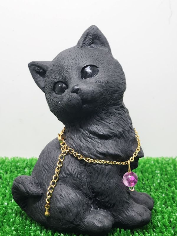 �����ͤ������������