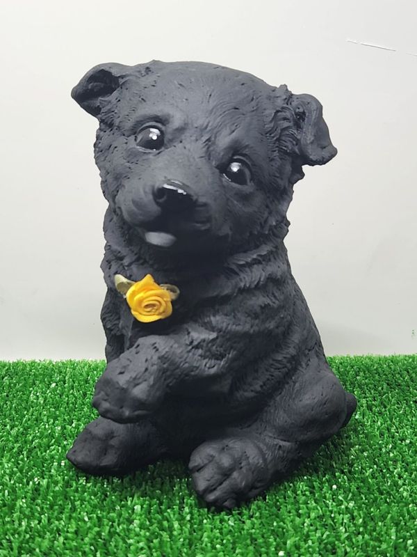 �����åȥ��ɥ����ץɥå�