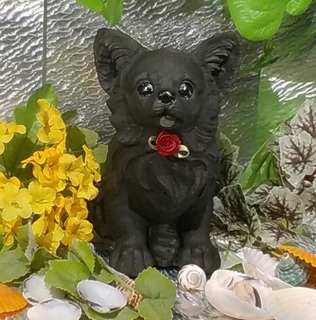 パピヨン | 横浜炭物語 ラブリーシリーズ | | 横浜炭物語オフィシャル