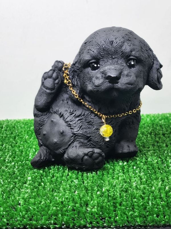 ������ǥ��ȥ�С�