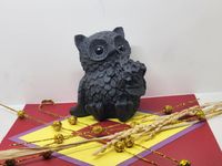 �դ�����No2