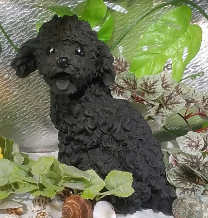 プードル | 横浜炭物語 犬（中）シリーズ | | 横浜炭物語オフィシャル