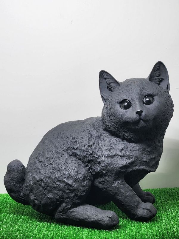 No3���������