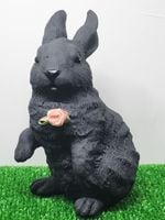 �������⣱