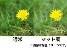 A5マット調クリアファイル 1,000枚（OPP袋入れなし）