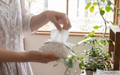 ミニティッシュポーチ ストライプ×刺繍オーガンジー 約10×12cm [Rayure Nature]