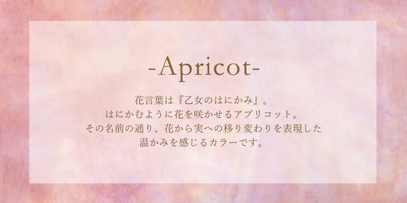 �֡������޸����󥰥�����å�