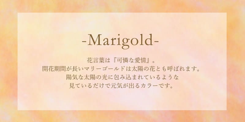 �֡������޸����󥰥�����å�