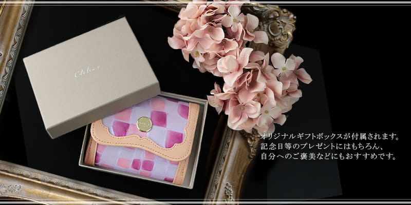 ���ƥ�ɥ��饹����ѥ��ȥ�����å�