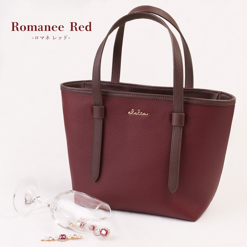 �Х����顼�쥶���ߥ˥ȡ��ȥХå�